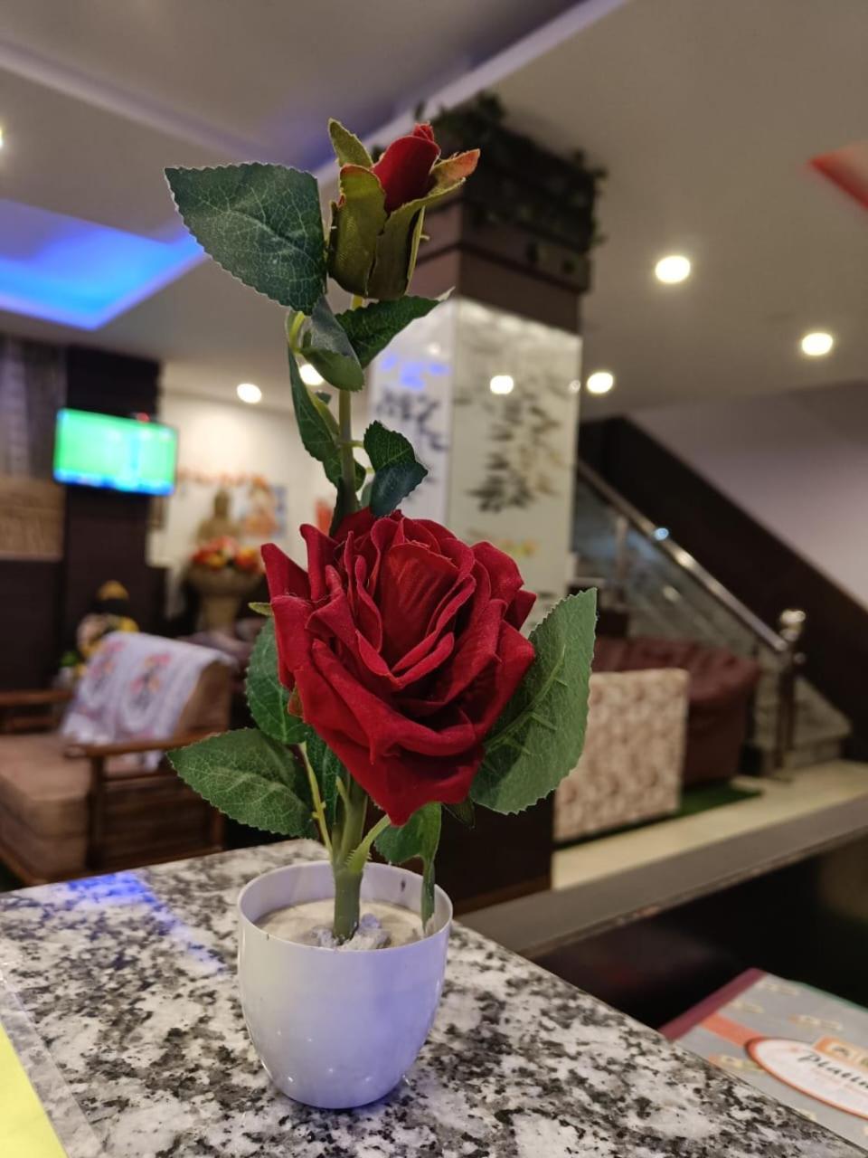 King Castle Mcleodganj-Centrally Heated And Air Cooled- Near Mall Road - Free Parking Дхарамсала Екстериор снимка